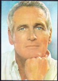 AMS - ILUSTRATA 447 PAUL NEWMAN, NECIRCULATA