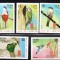 CUBA 2008, Fauna, Pasari, serie neuzata, MNH