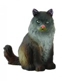 Pisica norvegiana din padure - Collecta