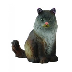 Pisica norvegiana din padure - Collecta