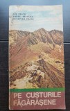 Pe custurile Făgărășene - Ilie Fratu, Andrei Beleaua, Octavian Fratu