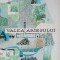 VALEA ARIESULUI-I. TUGUI, I. DELEANU-204889