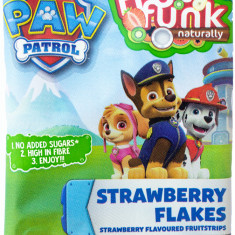Fulgi din fructe cu capsuni Paw Patrol, 16g, Fruit Funk