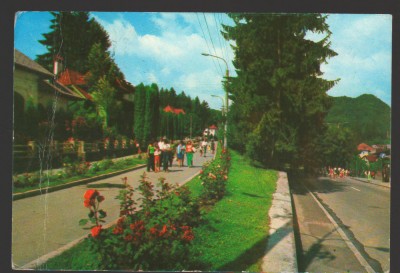 CPIB 19388 CARTE POSTALA - OLANESTI. ALEEA TRANDAFIRILOR foto