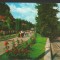 CPIB 19388 CARTE POSTALA - OLANESTI. ALEEA TRANDAFIRILOR