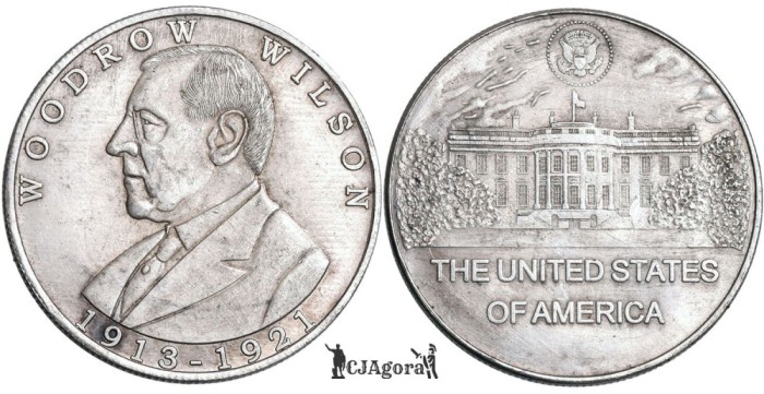 Woodrow Wilson ( 1913 - 1921 )