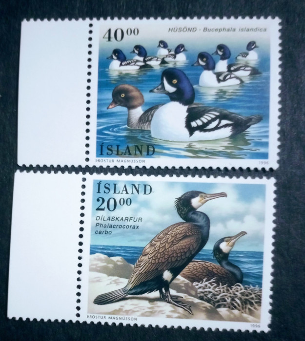 Islanda 1996 rațe, păsări fauna serie 2v neștampilata