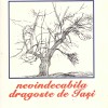 Colectiv - Nevindecabila dragoste de Iasi - 137219