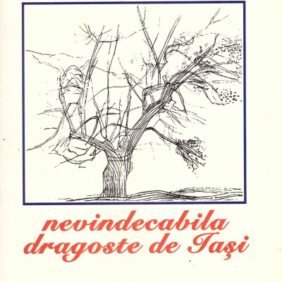 colectiv - Nevindecabila dragoste de Iasi - 137219 foto