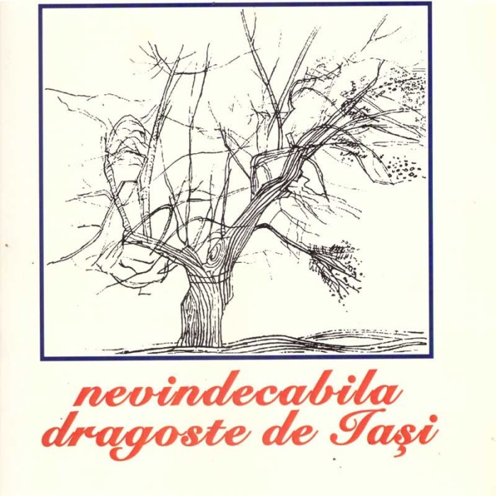 colectiv - Nevindecabila dragoste de Iasi - 137219