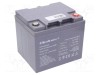 Acumulator QOLTEC 12V 45Ah AGM fără &icirc;ntreţinere