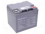 Acumulator QOLTEC 12V 45Ah AGM fără &icirc;ntreţinere
