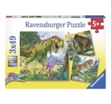 Puzzle Conducatori primitivi, 3 x 49 piese