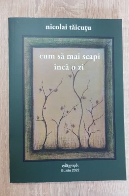 Cum să mai scapi &amp;icirc;ncă o zi - Nicolai Tăicuțu foto