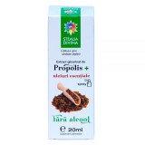 Extract Gliceric de Propolis cu Uleiuri Esentiale 20 mililitri Santo Raphael