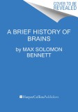 A Brief History of Brains