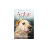 Arthur: The Dog Who Crossed the Jungle to Find a Home