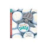 One Tiny Turtle