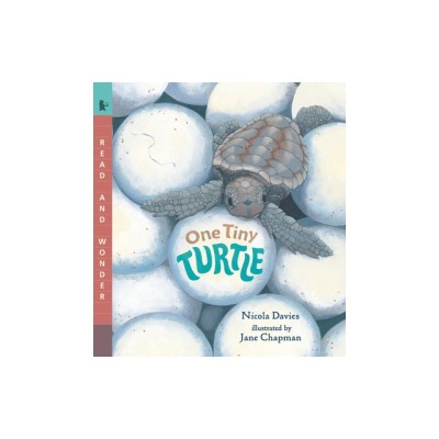 One Tiny Turtle foto