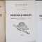 PROIECTAREA SCULELOR VOL.1-3-V. BELOUS-240093