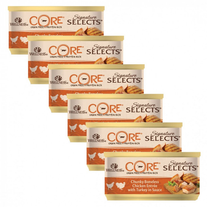 Wellness CORE Signature Selects Chunky Pui &amp;amp; Curcan 6 x 79 g