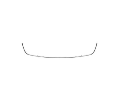 Ornament grila bara protectie, spoiler Volkswagen Caddy Iii/Life (2k), model: Highline, montare fata, cromat, RapidAuto foto