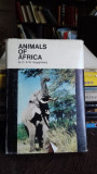 ANIMALS OF AFRICA - C.A.W. GUGGISBERG (ANIMALE DIN AFRICA)