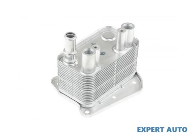 Radiator racire ulei Mercedes Sprinter (1995-2006) [901, 902] #1 foto