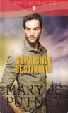Mary Jo Putney - Capriciile destinului
