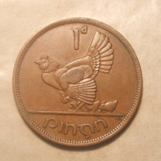 IRLANDA 1 PENNY 1942 CLOSCA CU PUII