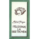 Pelerinaj la Beethoven (1979)