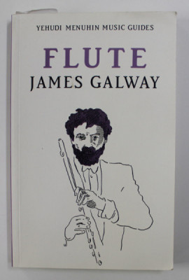 YEHUDI MENUHIN MUSIC GUIDES - FLUTE by JAMES GALWAY , 1990 foto