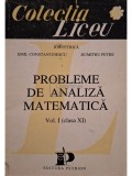 Ion Petrica - Probleme de analiza matematica, vol. 1, clasa a XI-a (Editia: 1993)