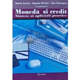Moneda si credit. Sinteze si aplicatii practice - Vasile Cocris (AE32)