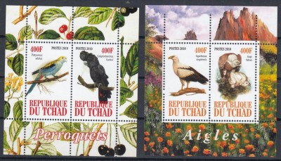 Ciad 2010 - PASARI - MNH foto