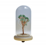 Copac in cupola de sticla cu lumina multicolora cristal natural aventurin 13cm, Stonemania Bijou