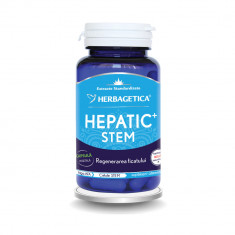 HEPATIC STEM FL*60CP HERBAGETICA