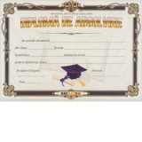 Diploma absolvire 2