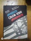 America celor trei asasinate-Stelian Turlea,Dumitru Constantin