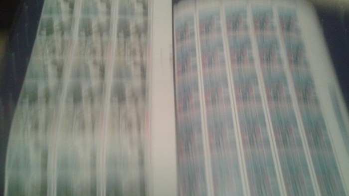 Blocuri timbre Inundatia