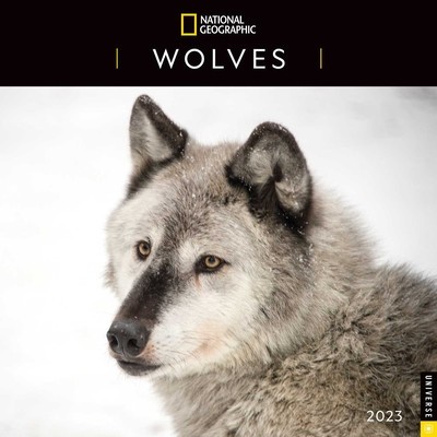 National Geographic: Wolves 2023 Wall Calendar foto
