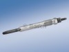 Bujie incandescenta PEUGEOT EXPERT platou / sasiu (223) (1995 - 2016) BOSCH 0 250 202 032