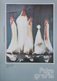 Revista Fotografia nr. 4-5 (62-63)/iulie-octombrie 1975