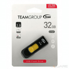 Carduri de memorie Stick Team C141 32GB