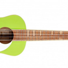 Ukulele Tenor Ortega RUGA-GAP Gaucho Green Apple