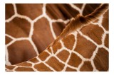 Tablou Canvas, "Pădurea de forme și linii", Model, Textură, Geometrie, Natură, Contrast, Linii, Maroc, Blană, Culoare, Abstract, 39 x 26 cm, CMCLASS