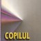 Kari Killen - Copilul maltratat