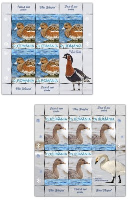ROMANIA 2024 PASARI DE IARNA ACVATICE Minicoli 5 timbre+ 1vinieta LP.2447 MNH** foto