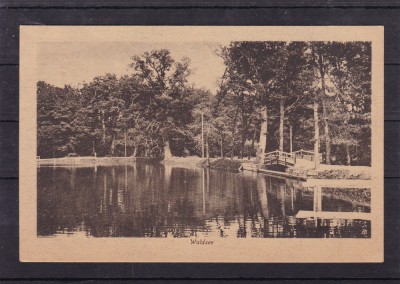 SIBIU WALDSEE foto