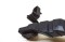 icon 5